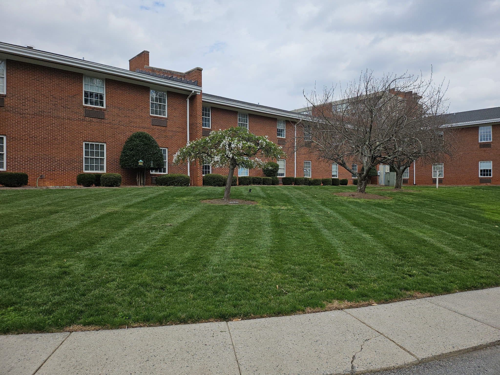 Commercial landscape maintenance — bed lines and turf care.
