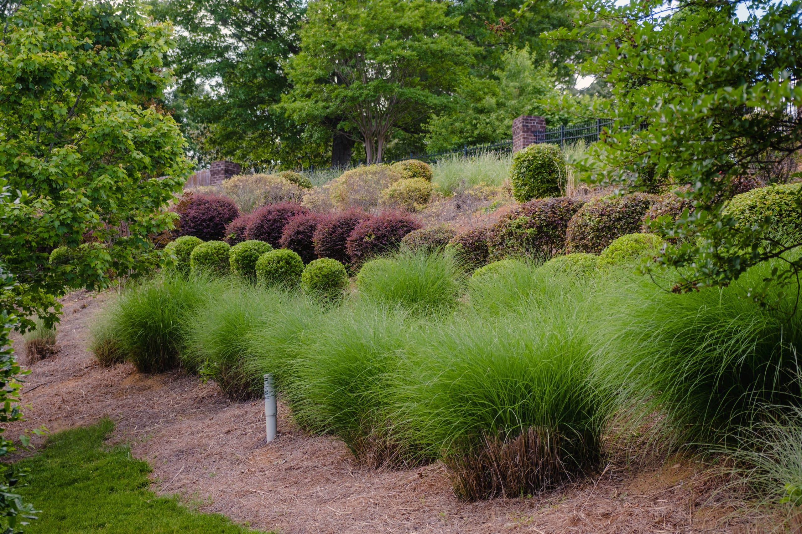 Commercial landscape maintenance — clean lines and consistent upkeep.