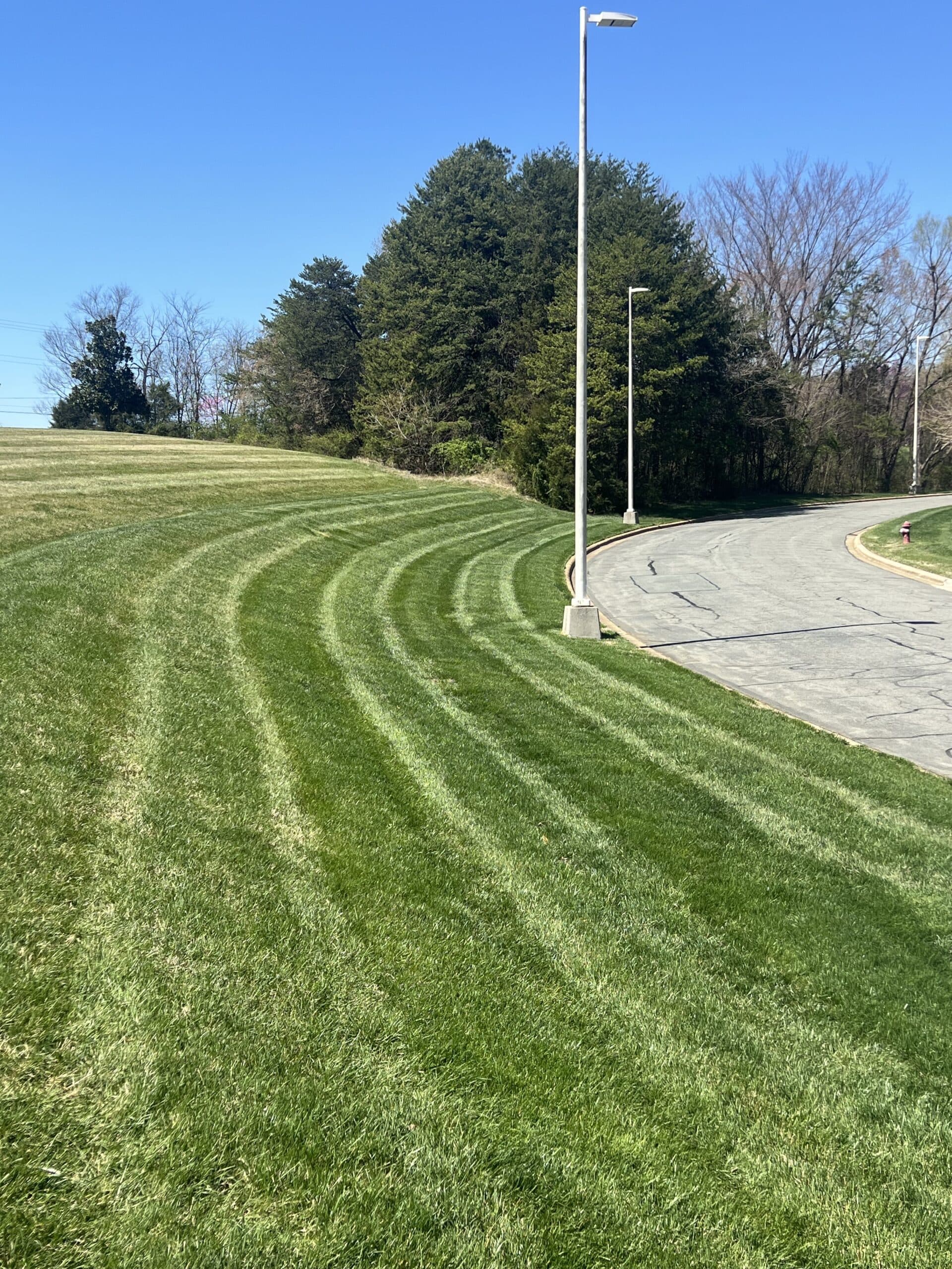 Commercial landscape maintenance — wide property view.