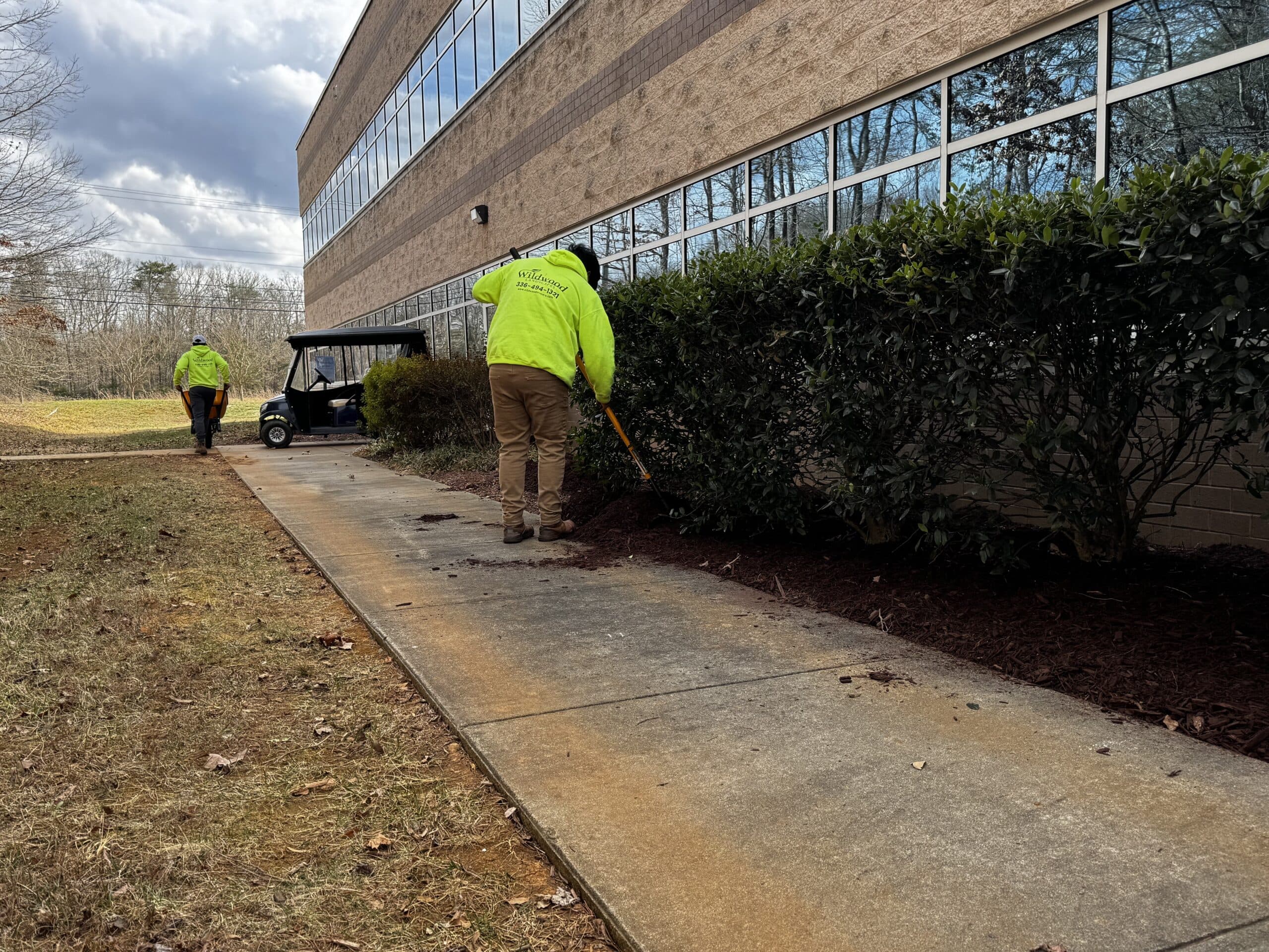 Commercial landscape maintenance — curb appeal along walkways.