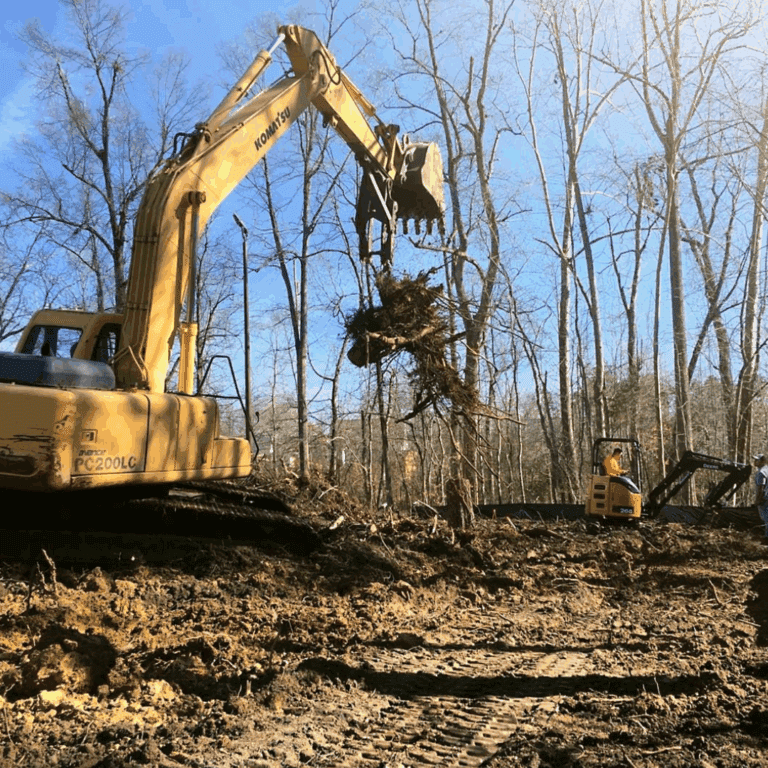 Commercial tree care and removal performed by Wildwood Landscapes.